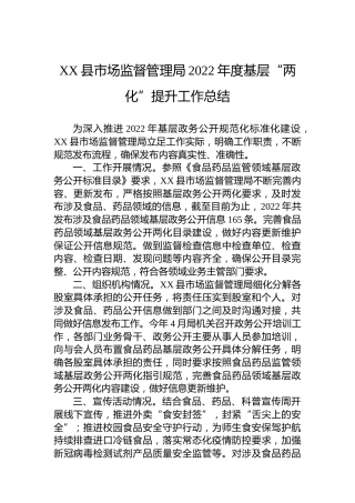 XX县市场监督管理局2022年度基层“两化”提升工作总结(20221102)