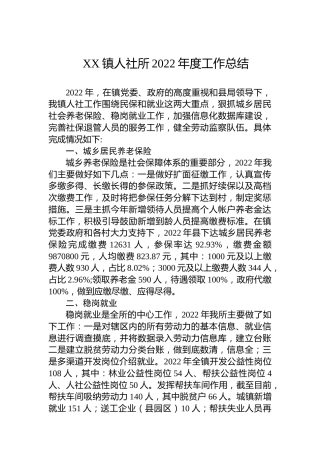XX镇人社所2022年度工作总结(20221020)