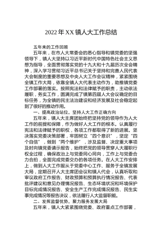 2022年XX镇人大工作总结（20220727）