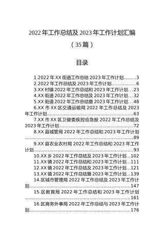 2022年工作总结及2023年工作计划汇编（35篇） (2)