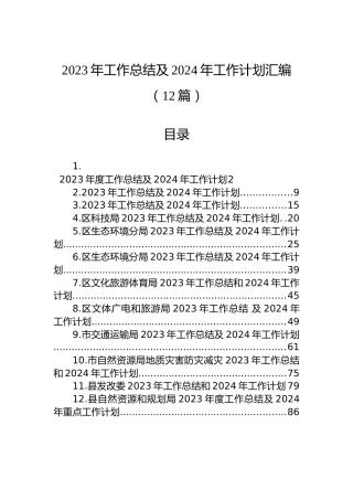 2023年工作总结及2024年工作计划汇编（12篇）