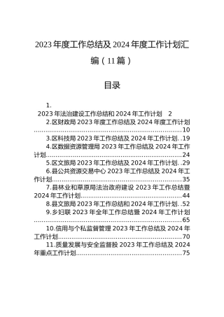 2023年度工作总结及2024年度工作计划汇编（11篇）