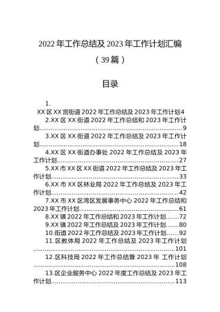 2022年工作总结及2023年工作计划汇编（39篇）