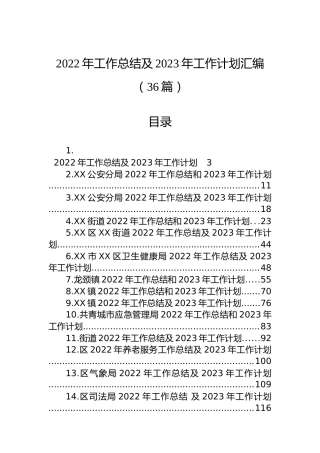 2022年工作总结及2023年工作计划汇编（36篇）