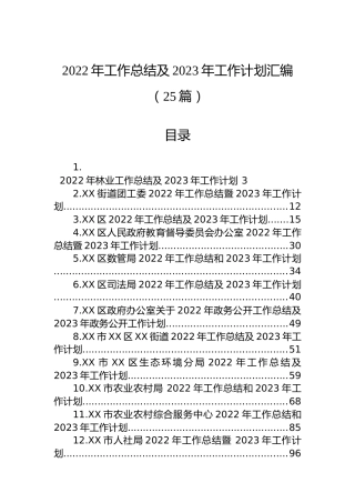 2022年工作总结及2023年工作计划汇编（25篇）