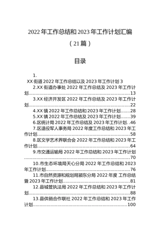 2022年工作总结和2023年工作计划汇编（21篇）