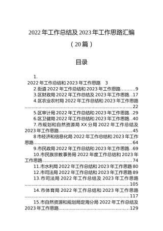 2022年工作总结及2023年工作思路汇编（20篇）