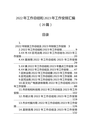 2022年工作总结和2023年工作安排汇编（20篇）