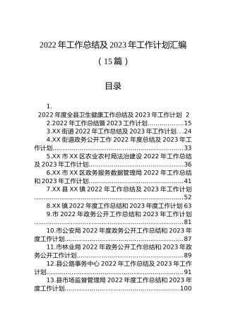 2022年工作总结及2023年工作计划汇编（15篇）