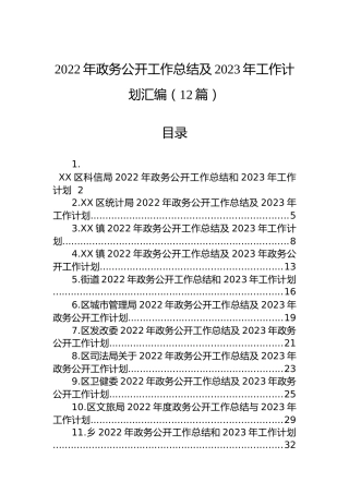2022年政务公开工作总结及2023年工作计划汇编（12篇）