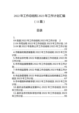 2022年工作总结和2023年工作计划汇编（11篇）