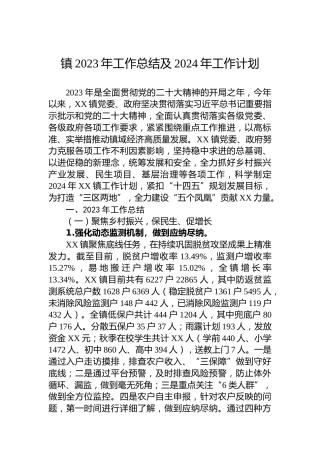 镇2023年工作总结及2024年工作计划 (4)