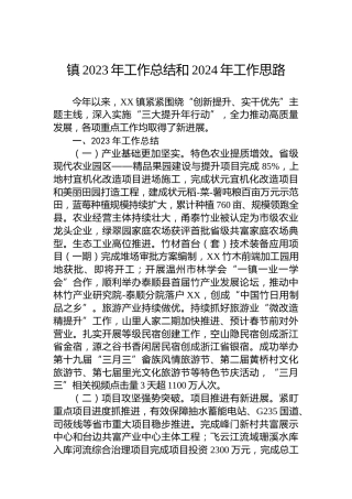 镇2023年工作总结和2024年工作思路 (3)