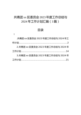 共青团xx区委员会2023年度工作总结与2024年工作计划汇编（3篇）