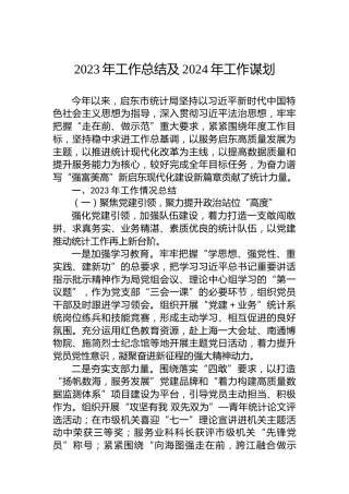 2023年工作总结及2024年工作谋划 (2)