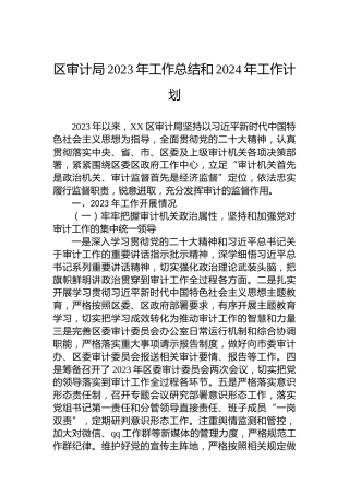 区审计局2023年工作总结和2024年工作计划 (2)