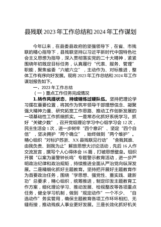 县残联2023年工作总结和2024年工作谋划 (2)