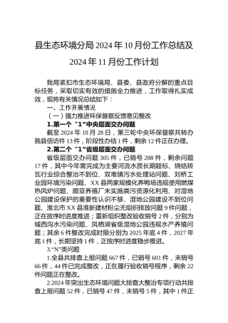 县生态环境分局2024年10月份工作总结及2024年11月份工作计划