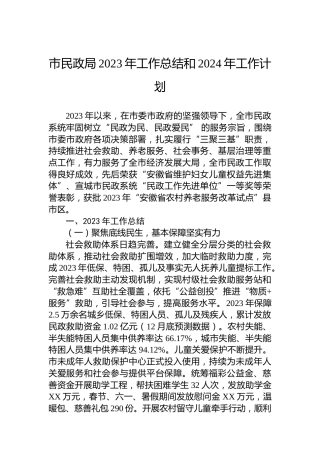 市民政局2023年工作总结和2024年工作计划 (2)