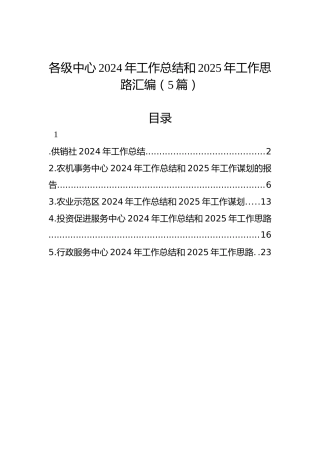 各级中心2024年工作总结和2025年工作思路汇编（5篇）