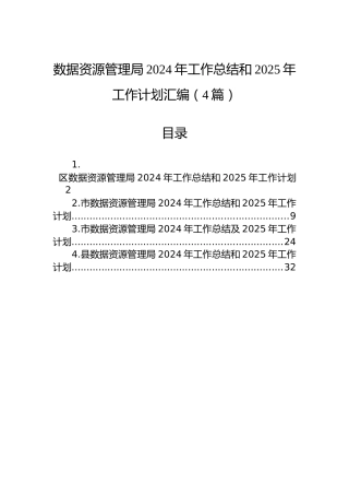 数据资源管理局2024年工作总结和2025年工作计划汇编（4篇）