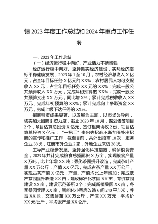 镇2023年度工作总结和2024年重点工作任务 (2)