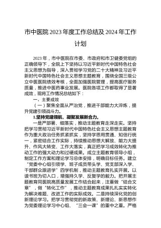 市中医院2023年度工作总结及2024年工作计划 (2)