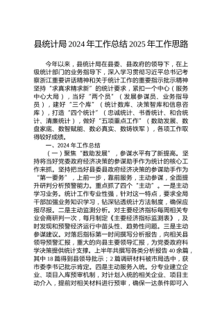 县统计局2024年工作总结2025年工作思路（2）
