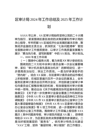 区审计局2024年工作总结及2025年工作计划