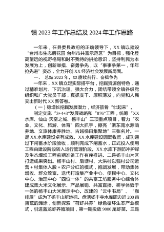 镇2023年工作总结及2024年工作思路 (2)