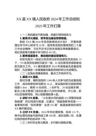 XX县XX镇人民政府2024年工作总结和2025年工作打算