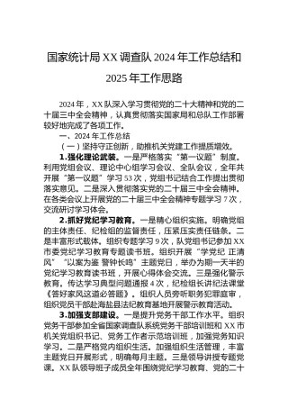 国家统计局XX调查队2024年工作总结和2025年工作思路