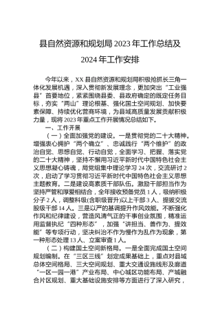 县自然资源和规划局2023年工作总结及2024年工作安排 (2)