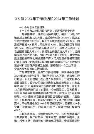 XX镇2023年工作总结和2024年工作计划 (2)
