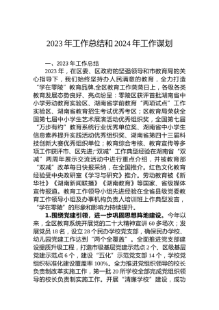 2023年工作总结和2024年工作谋划 (2)