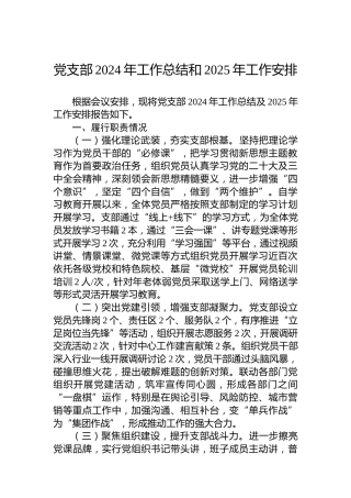 党支部2024年工作总结和2025年工作安排
