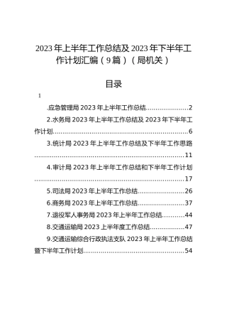 2023年上半年工作总结及2023年下半年工作计划汇编（9篇）（局机关）