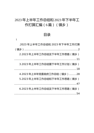 2023年上半年工作总结和2023年下半年工作打算汇编（6篇）（镇乡）