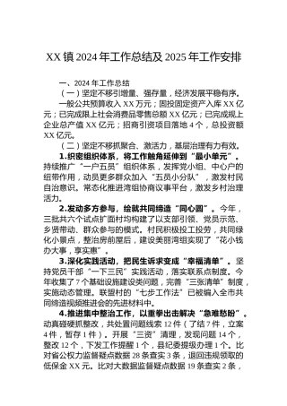 XX镇2024年工作总结及2025年工作安排