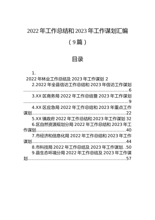 2022年工作总结和2023年工作谋划汇编（9篇）