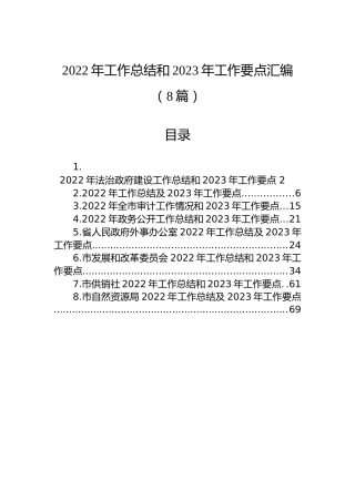 2022年工作总结和2023年工作要点汇编（8篇）