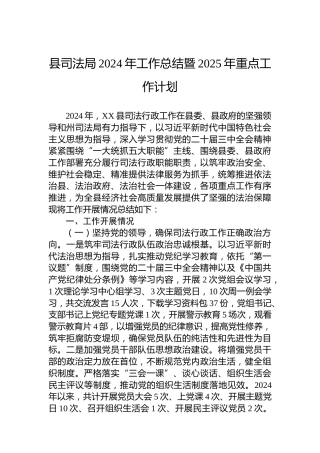县司法局2024年工作总结暨2025年重点工作计划