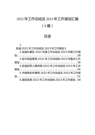 2022年工作总结及2023年工作谋划汇编（6篇）
