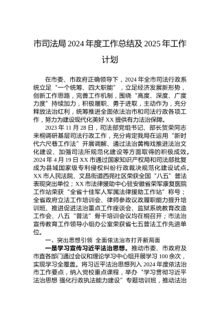 市司法局2024年度工作总结及2025年工作计划