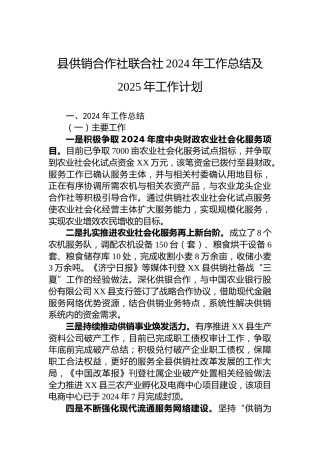 县供销合作社联合社2024年工作总结及2025年工作计划
