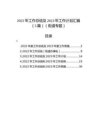 2022年工作总结及2023年工作计划汇编（5篇）（街道专题）