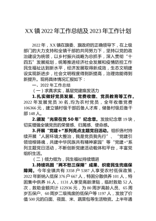 XX镇2022年工作总结及2023年工作计划 (4)