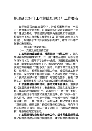 护理系2024年工作总结及2025年工作要点