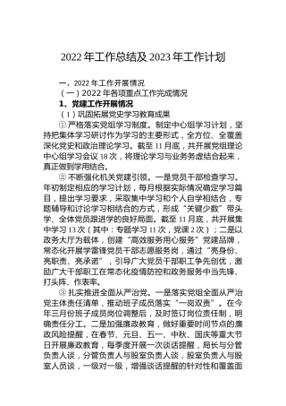 2022年工作总结及2023年工作计划 (3)