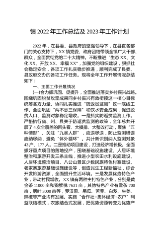 镇2022年工作总结及2023年工作计划3